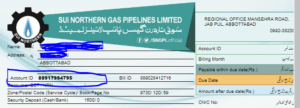 sui gas bill online check - sui gas bill