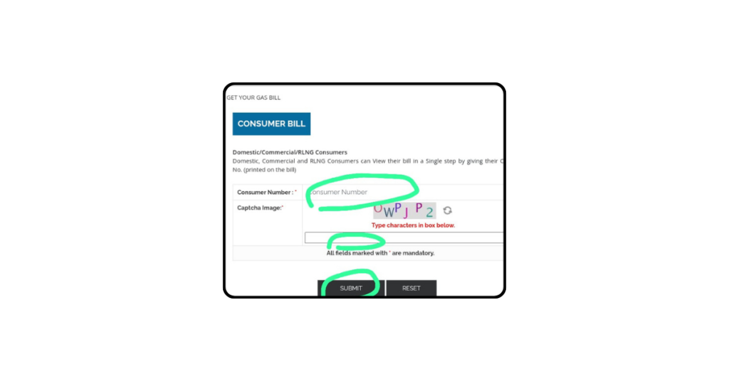 Sngpl bill process