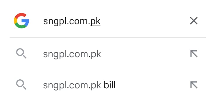 SNGPL Duplicate Bill