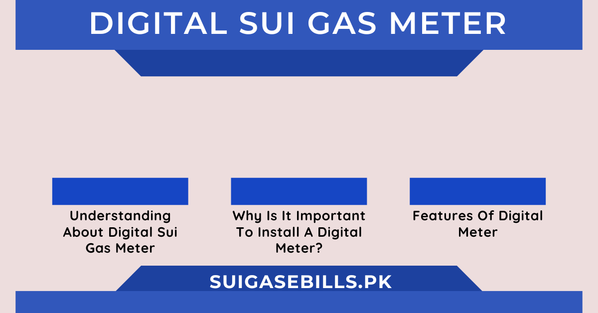 Digital Sui Gas Meter